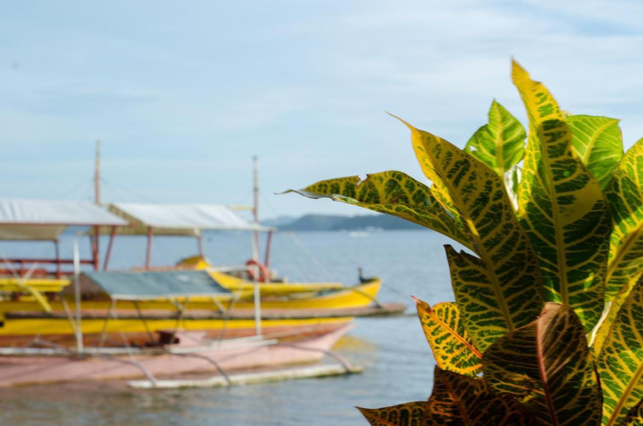 Concepcion Divers Lodge Busuanga Kültér fotó